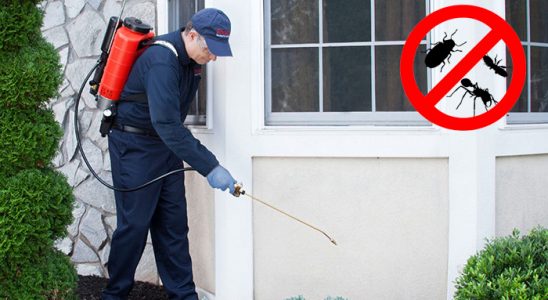 Kartal Hamam Böceği İlaçlama böcek ilaçlama ve haşere kontrolü — ilaclama-tr.com